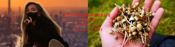 дурь Волоколамск