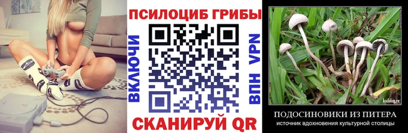 Псилоцибиновые грибы прущие грибы  blacksprut ссылка  Чишмы 